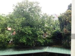 Balmoral Park (D10), Apartment #129266112